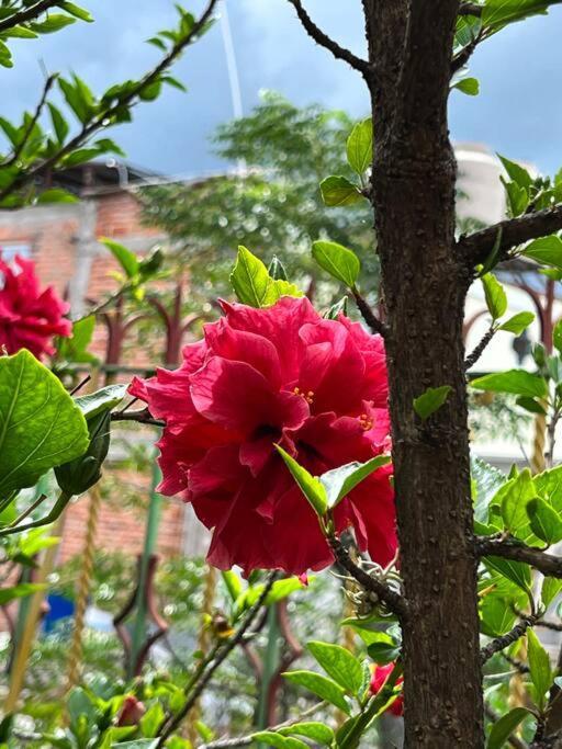 Olivos Habitacion Cuadruple Текискиапан Экстерьер фото