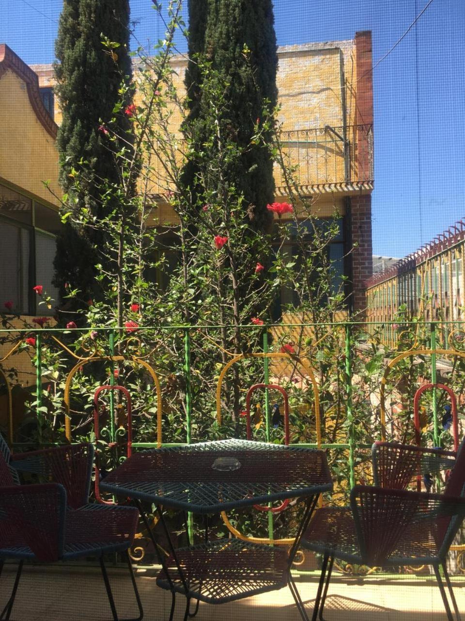 Olivos Habitacion Cuadruple Текискиапан Экстерьер фото